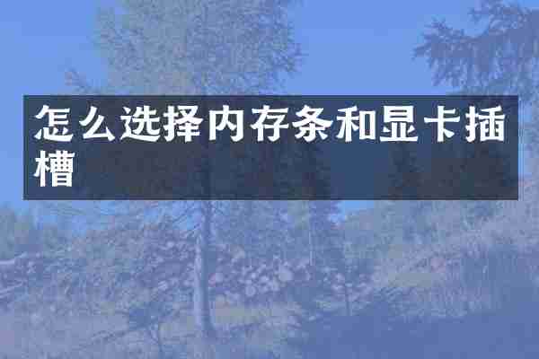 怎么选择内存条和显卡插槽