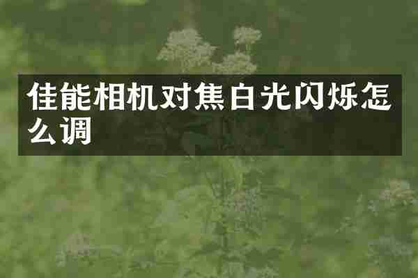 佳能相机对焦白光闪烁怎么调