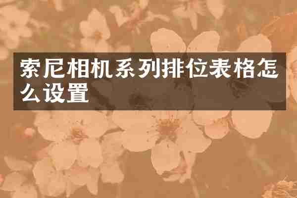 相机系列排位表格怎么设置