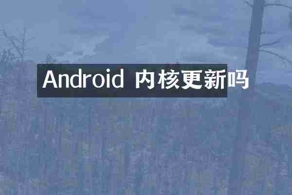 Android 内核更新吗
