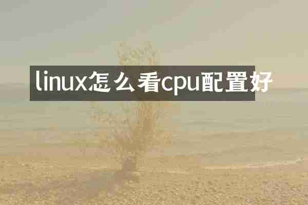linux怎么看cpu配置好