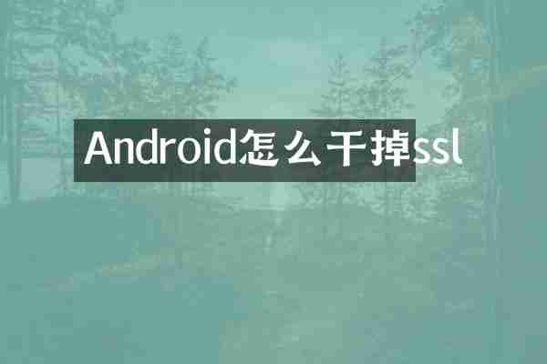 Android怎么干掉ssl