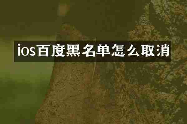 ios百度黑名单怎么取消