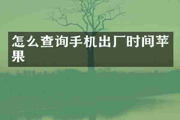 怎么查询手机出厂时间苹果
