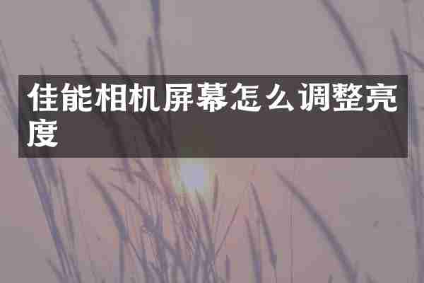 佳能相机屏幕怎么调整亮度