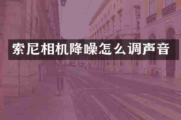 索尼相机降噪怎么调声音