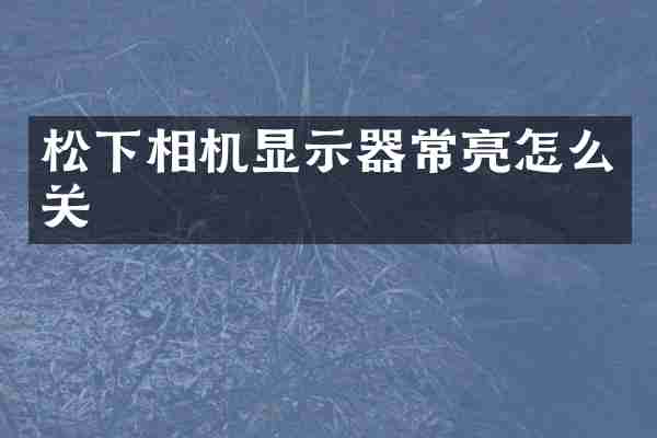 松下相机显示器常亮怎么关