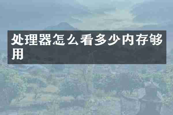 处理器怎么看多少内存够用