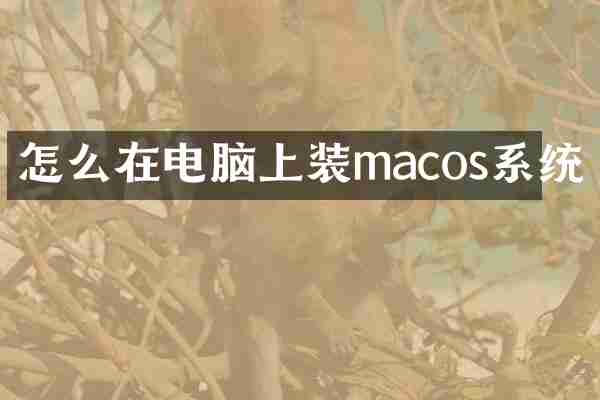 怎么在电脑上装macos系统