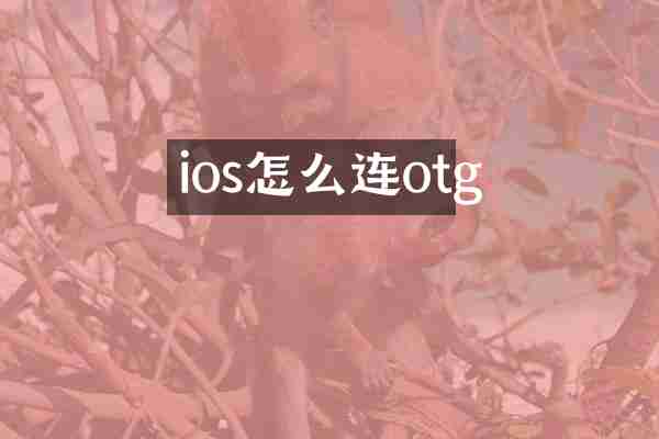 ios怎么连otg