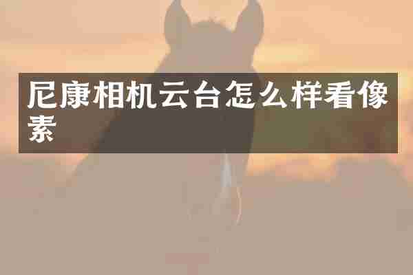 尼康相机云台怎么样看像素