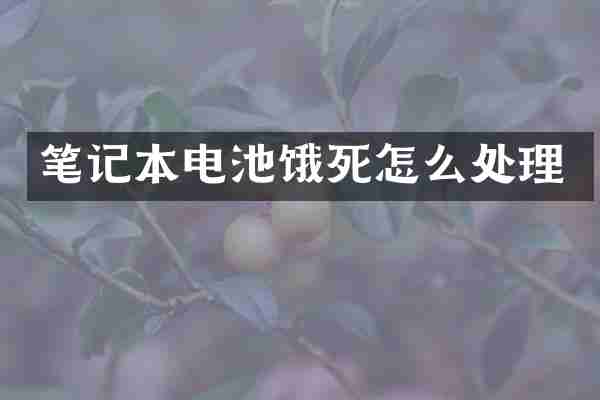笔记本电池饿死怎么处理