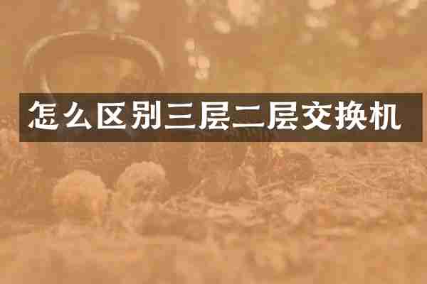 怎么区别三层二层交换机