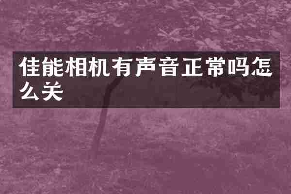 佳能相机有声音正常吗怎么关