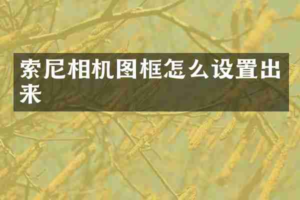 索尼相机图框怎么设置出来