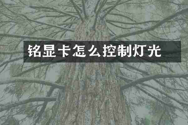 铭瑄显卡怎么控制灯光