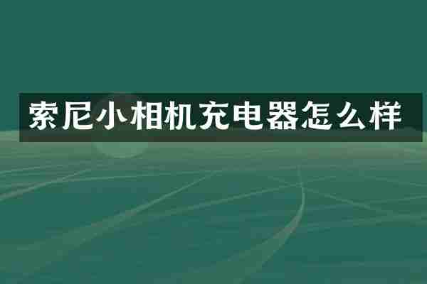 索尼小相机充电器怎么样