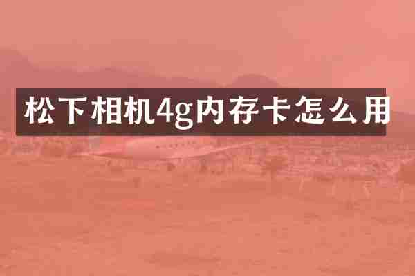 松下相机4g内存卡怎么用
