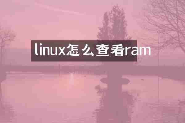 linux怎么查看ram