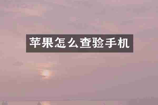 苹果怎么查验手机