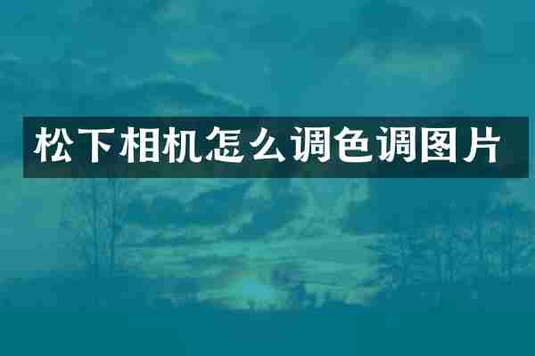 松下相机怎么调色调图片