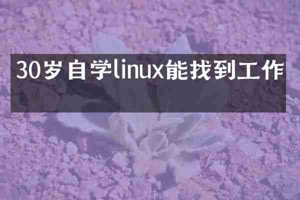 30岁自学linux能找到工作吗
