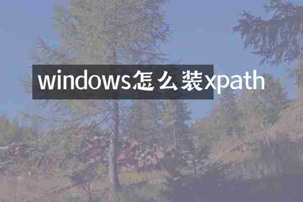 windows怎么装xpath