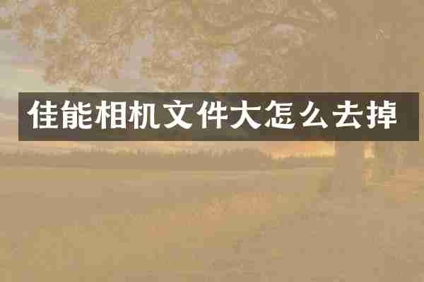 佳能相机文件大怎么去掉