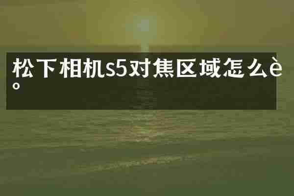 松下相机s5对焦区域怎么调