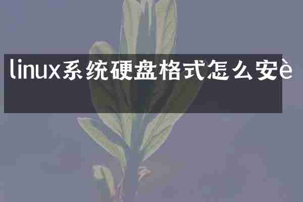 linux系统硬盘格式怎么安装