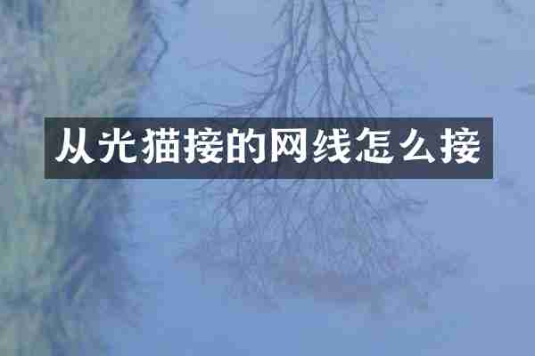 从光猫接的网线怎么接