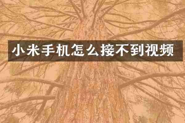 小米手机怎么接不到视频