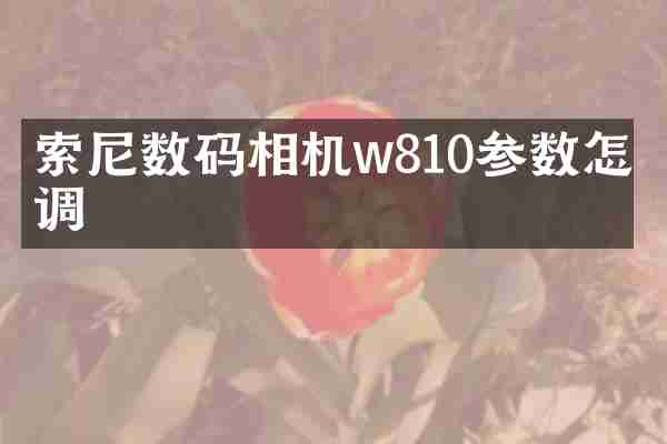 索尼数码相机w810参数怎么调