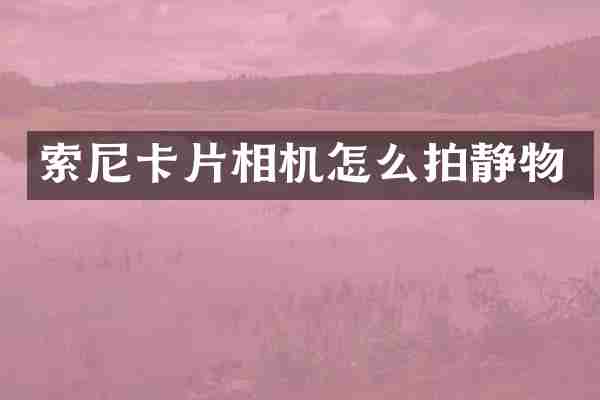 索尼卡片相机怎么拍静物