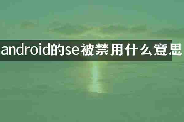 android的se被禁用什么意思