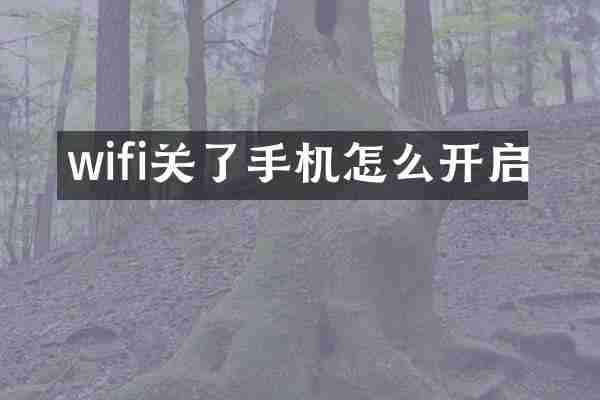 wifi关了手机怎么开启