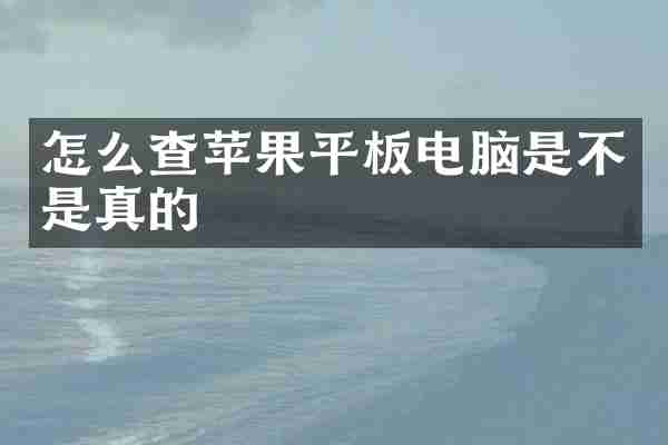 怎么查苹果平板电脑是不是真的