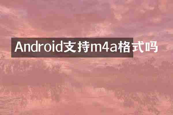 Android支持m4a格式吗