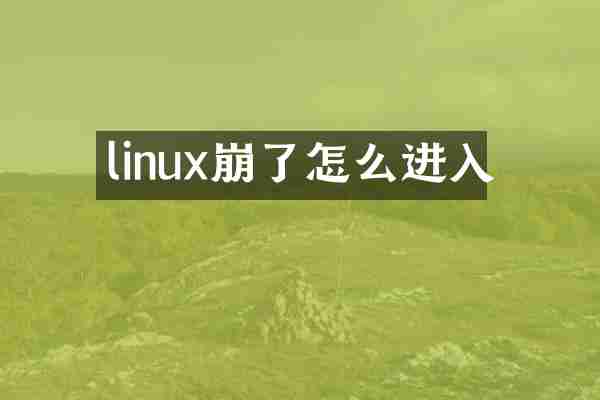 linux崩了怎么进入