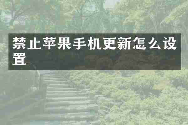 禁止苹果手机更新怎么设置