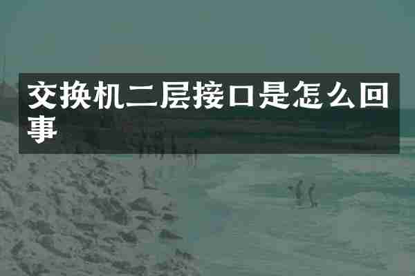 交换机二层接口是怎么回事
