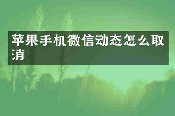 苹果手机微信动态怎么取消