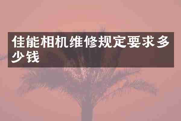佳能相机维修规定要求多少钱
