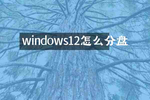 windows12怎么分盘