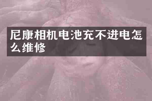 尼康相机电池充不进电怎么维修