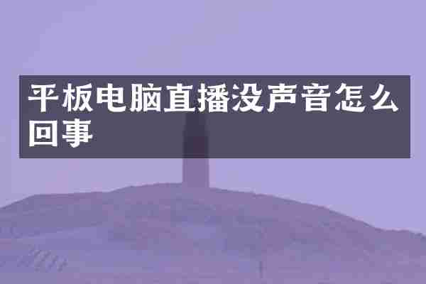 平板电脑直播没声音怎么回事
