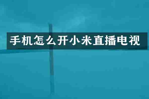 手机怎么开小米直播电视