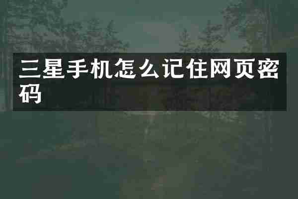 三星手机怎么记住网页密码