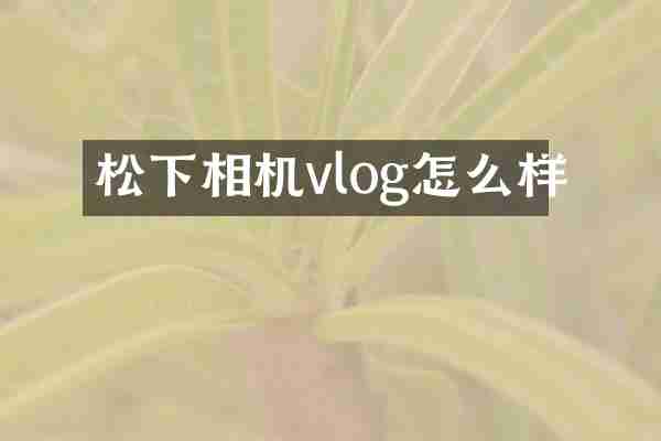 松下相机vlog怎么样
