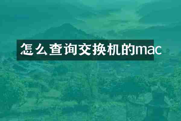 怎么查询交换机的mac